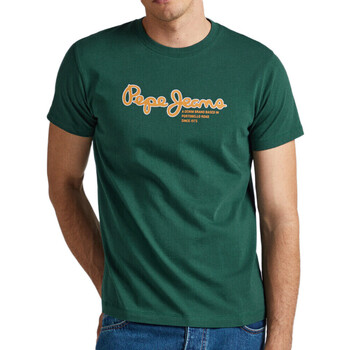 Vêtements Homme T-shirts manches courtes Pepe jeans PM509126 Vert