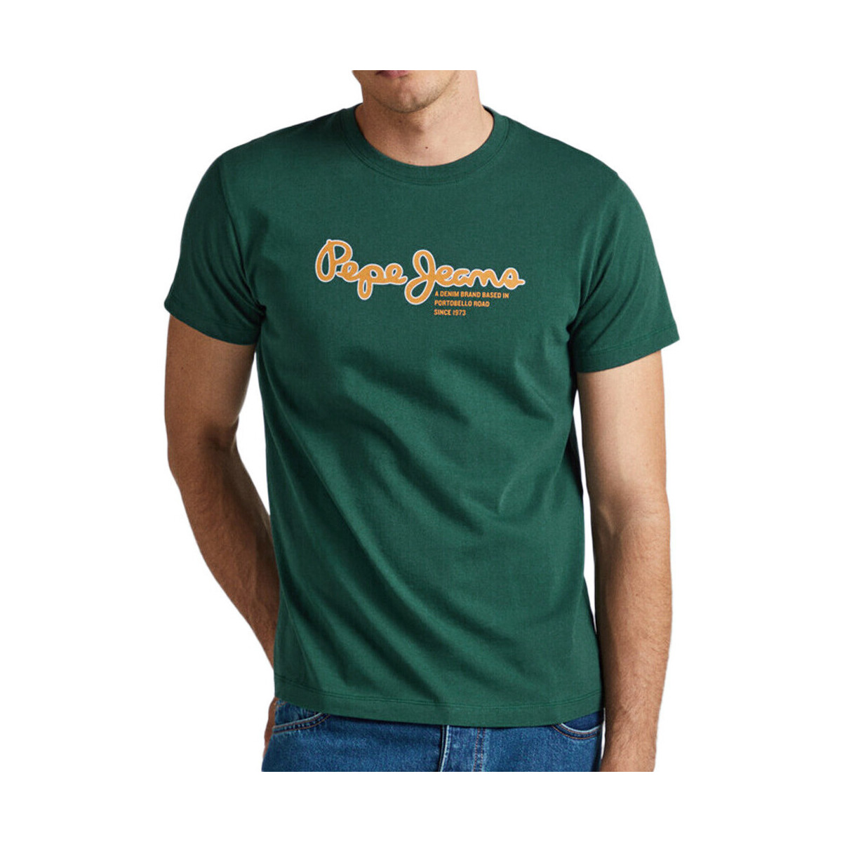 Vêtements Homme T-shirts & Polos Pepe jeans PM509126 Vert