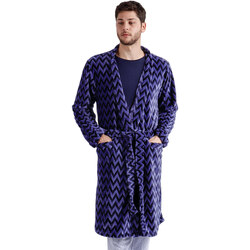 Vêtements Homme Pyjamas / Chemises de nuit Admas Robe de chambre Arrows Bleu