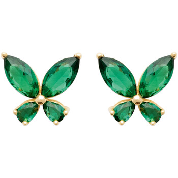 Montres & Bijoux Femme Boucles d'oreilles Brillaxis Boucles d'oreilles puces  papillon

vert Jaune