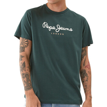 Vêtements Homme T-shirts & Polos Pepe jeans PM508208 Vert
