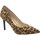 Chaussures Femme Escarpins Keys KEY-I23-8441-LE Marron