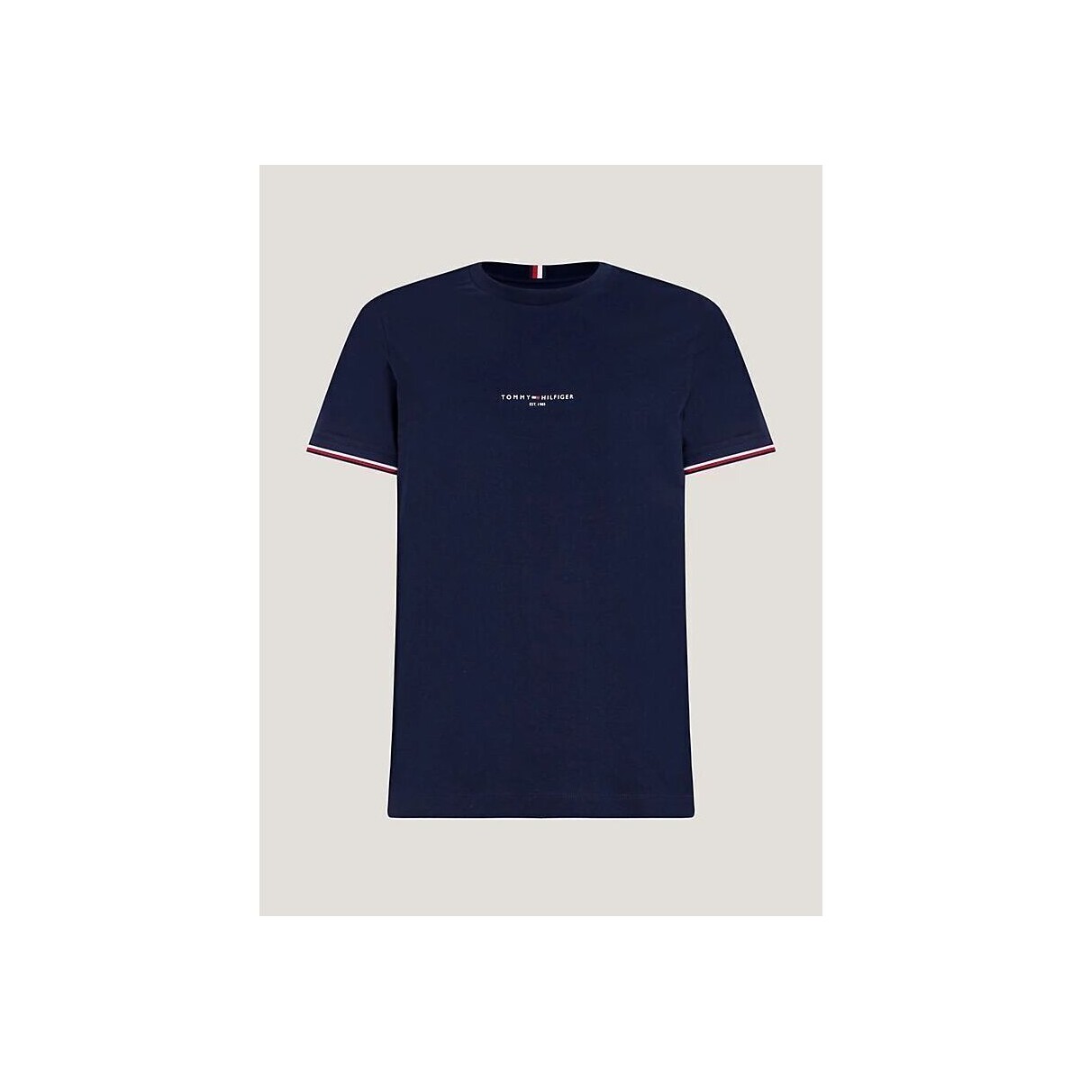Vêtements Homme T-shirts & Polos Tommy Hilfiger MW0MW32584DW5-DESERT SKY Bleu