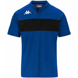 Vêtements Homme T-shirts & Polos Kappa Polo Dalto Bleu