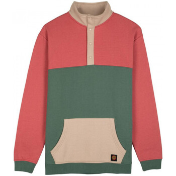 Vêtements Homme Sweats Santa Cruz Classic dot label quarter crew Multicolore
