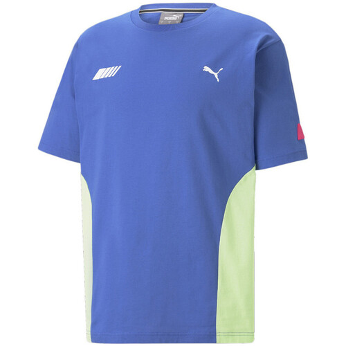 Vêtements Homme T-shirts manches longues Puma 538456-10 Bleu