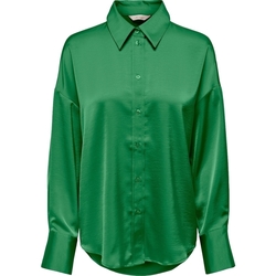 Vêtements Femme Tops / Blouses Only Marta Oversize Shirt - Peppermint Vert