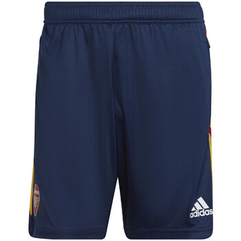Vêtements Homme Shorts pinkie / Bermudas adidas Originals H57460 Bleu