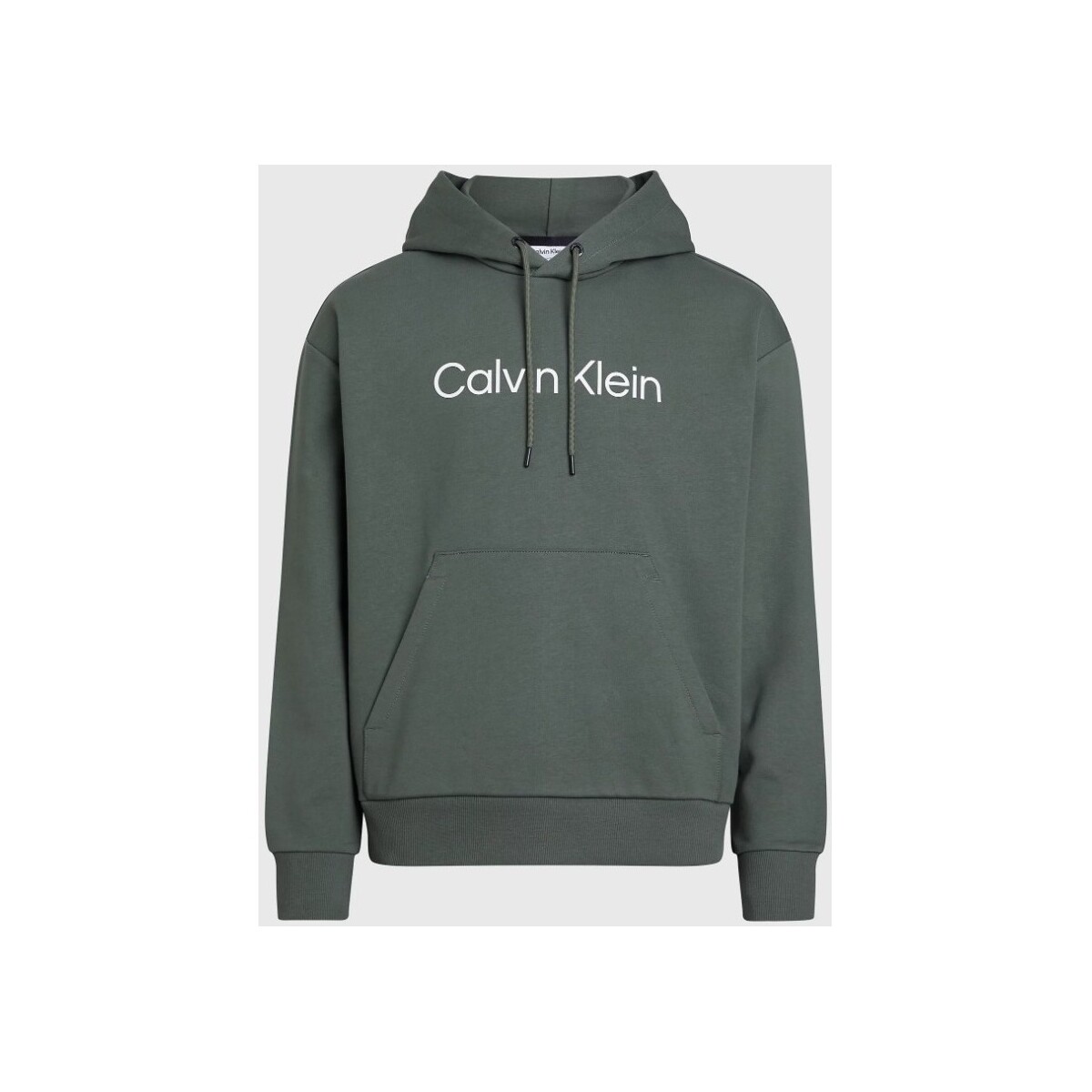Vêtements Homme Sweats Calvin Klein Jeans K10K111345 Vert