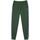Vêtements Homme Pantalons de survêtement Lacoste Survetements core graphics Vert