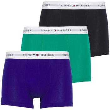 Sous-vêtements Homme Boxers Tommy Hilfiger  Multicolore
