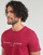 Vêtements Homme T-shirts manches courtes Tommy Hilfiger TOMMY LOGO TEE Bordeaux
