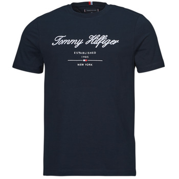 Vêtements Homme T-shirts manches courtes white Tommy Hilfiger SCRIPT LOGO TEE Marine