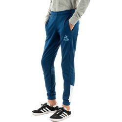 Vêtements Garçon Pantalons de survêtement Le Coq Sportif 2320665 Bleu