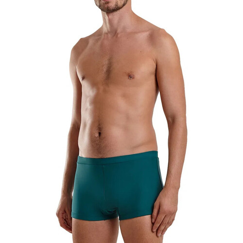 Vêtements Homme Maillots / Shorts mini de bain Blueman Amanhecer Vert