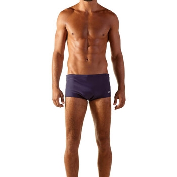 Vêtements Homme Maillots / Shorts de bain Blueman Amanhecer Marine
