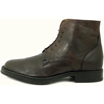 Chaussures Homme Boots Osvaldo Pericoli Homme Chaussures, Bottine, Cuir, lacets-168MA Marron