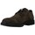 Chaussures Homme Derbies & Richelieu IgI&CO CORDÓN LISO GTX Marron
