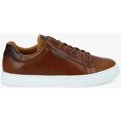Chaussures Homme Baskets mode Schmoove - SPARK CLAY Marron