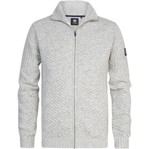 Vêtements Homme Sweats Petrol Industries Duck And Cover Gris