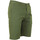 Vêtements Homme Shorts / Bermudas Peak Mountain Short homme CECHINO Vert