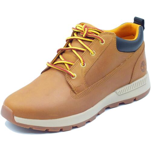 Chaussures Homme Boots Timberland 0A2JAC Killington Trekker Low Marron