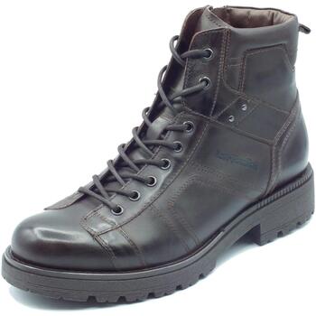 Chaussures Homme Boots NeroGiardini I304000U Kenia Marron