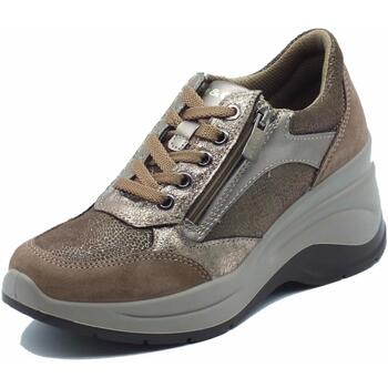 Chaussures Femme Baskets mode IgI&CO 4656722 Scam Marron