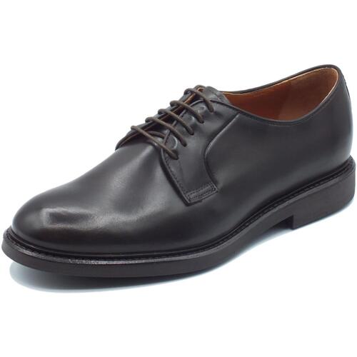 Chaussures Homme Derbies & Richelieu NeroGiardini I302962UE Kenia Marron