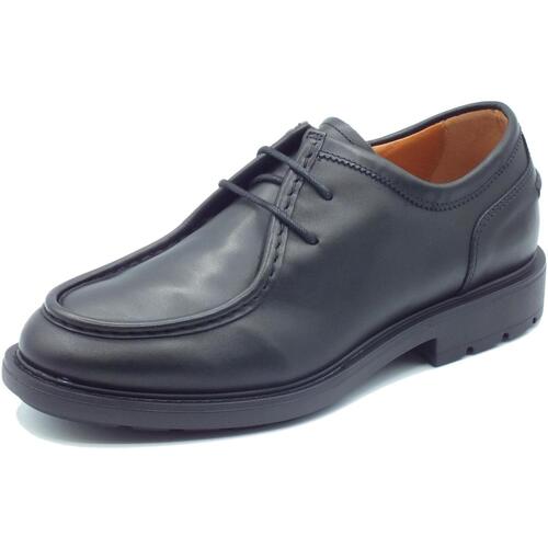 Chaussures Homme Derbies & Richelieu NeroGiardini I302971U Ilcea Noir