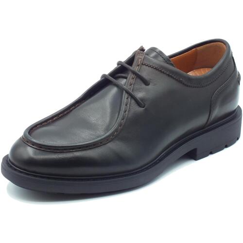 Chaussures Homme Derbies & Richelieu NeroGiardini I302971U Kenia Marron