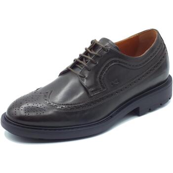 Chaussures Homme Derbies & Richelieu NeroGiardini I303001U Kenia Marron