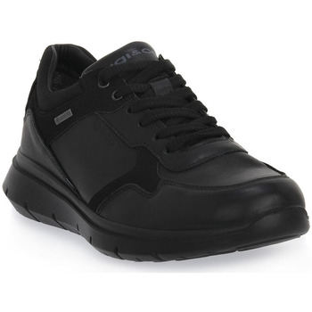 Chaussures Homme Baskets mode IgI&CO ERMES GTX NERO Noir