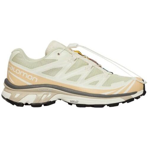 Chaussures Running / trail Salomon Baskets XT-6 Aloe Wash/Hazelnut/Feather Gray Vert