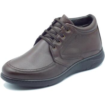 Chaussures Homme Boots Zen 778006 Marron
