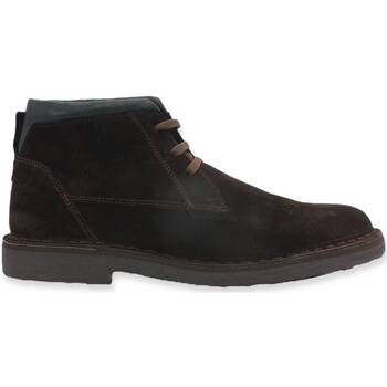 Chaussures Homme Boots Café Noir CAFENOIR Stringata Stile Clark Uomo Testa di Moro TE6000 Marron