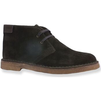 Chaussures Homme Boots Café Noir CAFENOIR Stringata Stile Clark Uomo Verde Scuro TD6910 Vert