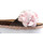 Chaussures Femme Multisport Colors of California COLORS OF CALIFORNA Ciabatta Platform Glitter Fiore Oro Rosa Rose