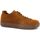 Chaussures Femme Bottes Birkenstock Benid Low Decon Sneaker Donna Mink 1024692 Marron