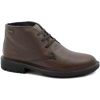 Chaussures Homme Boots Melluso MEL-I23-U55285-DB Marron