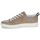 Chaussures Homme Baskets basses Paul Smith LEE Taupe