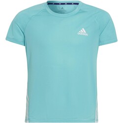 Vêtements Fille T-shirts & Polos adidas Originals Junior - Tee-shirt manches courtes - turquoise Autres