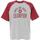 Vêtements Homme T-shirts manches courtes Champion Crewneck t-shirt Bordeaux
