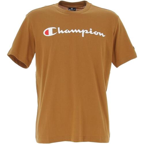 Vêtements Homme T-shirts manches courtes Champion Crewneck t-shirt Marron