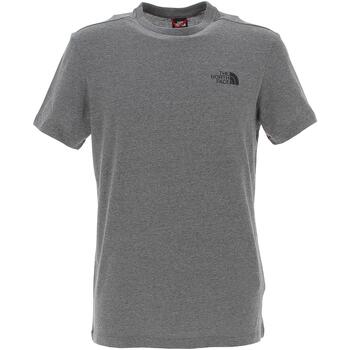 Vêtements Homme T-shirts manches courtes The North Face M s/s simple dome tee - eu Gris