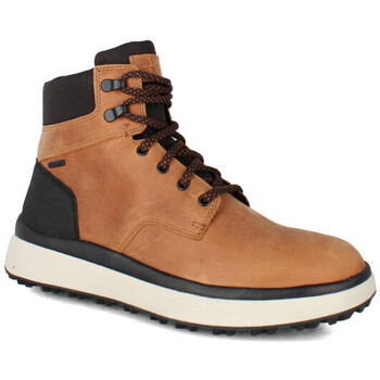 Chaussures Homme Boots Geox u granito Marron