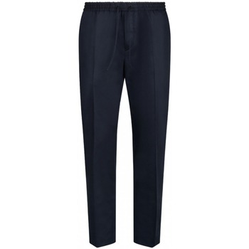 Vêtements Homme Pantalons Calvin Klein Jeans K10K111716 Bleu