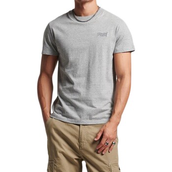 Vêtements Homme T-shirts manches courtes Superdry 223346 Gris