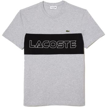 Vêtements Homme T-shirts manches courtes Lacoste Tee-shirts core graphics Gris
