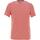 Vêtements Homme T-shirts manches courtes Mizuno Impulse core tee(m) Rose